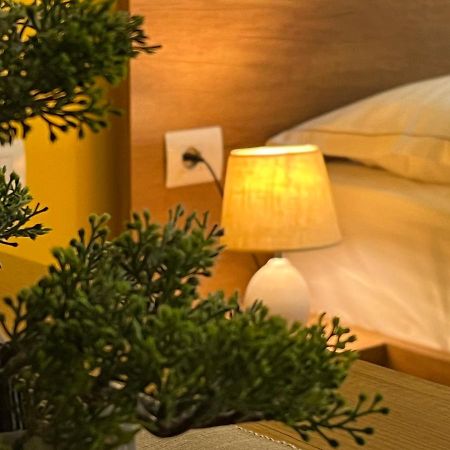 Koni'S Studio Apartments ティラナ エクステリア 写真