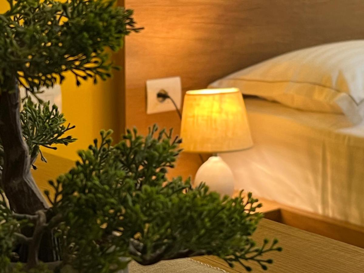 Koni'S Studio Apartments ティラナ エクステリア 写真